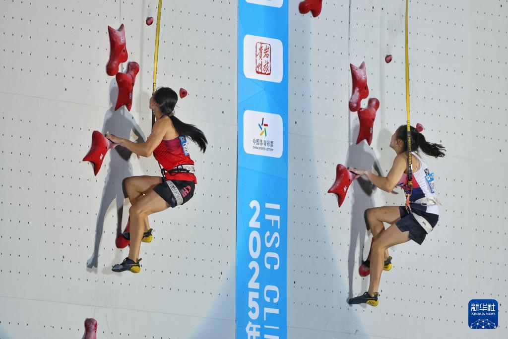 entit, 本文转自, AA