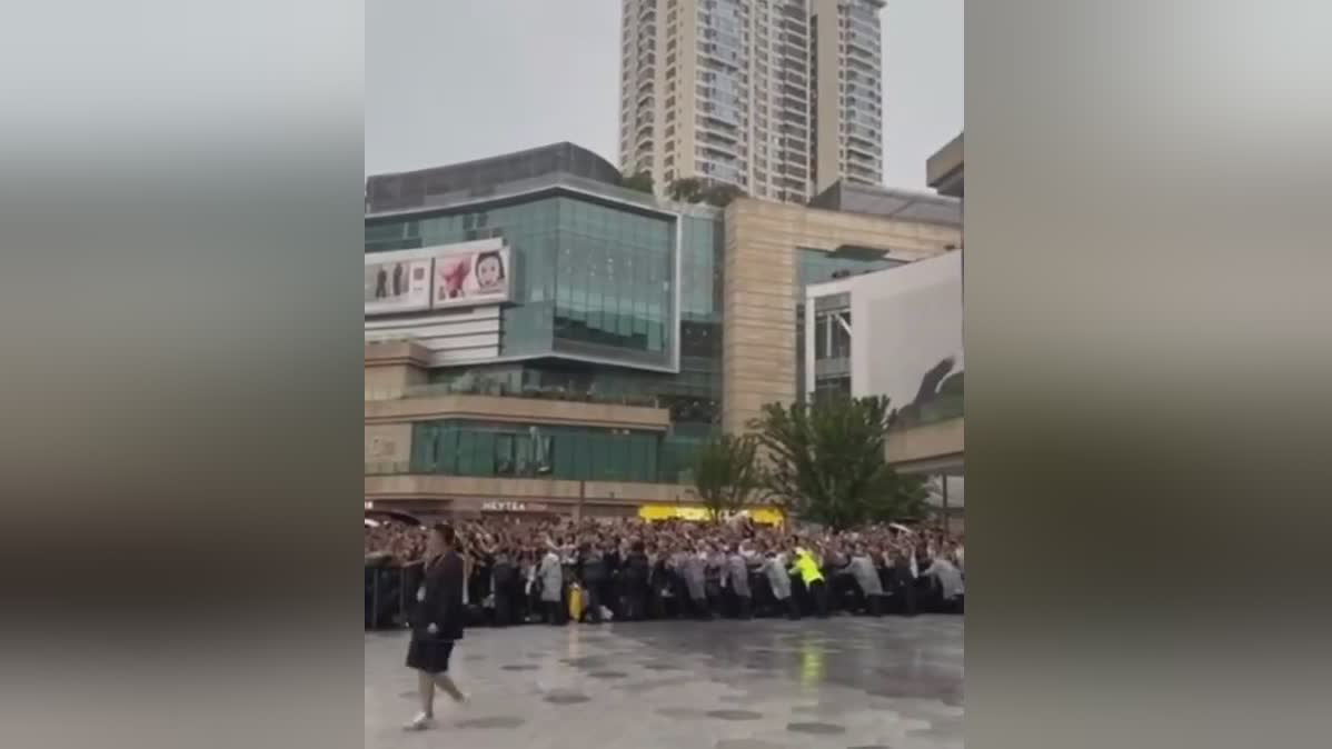 img, img, img img, img, img